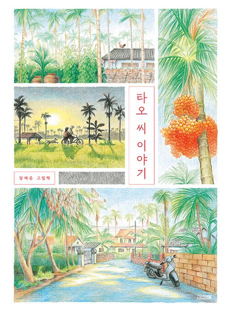 타오 씨 이야기 이미지