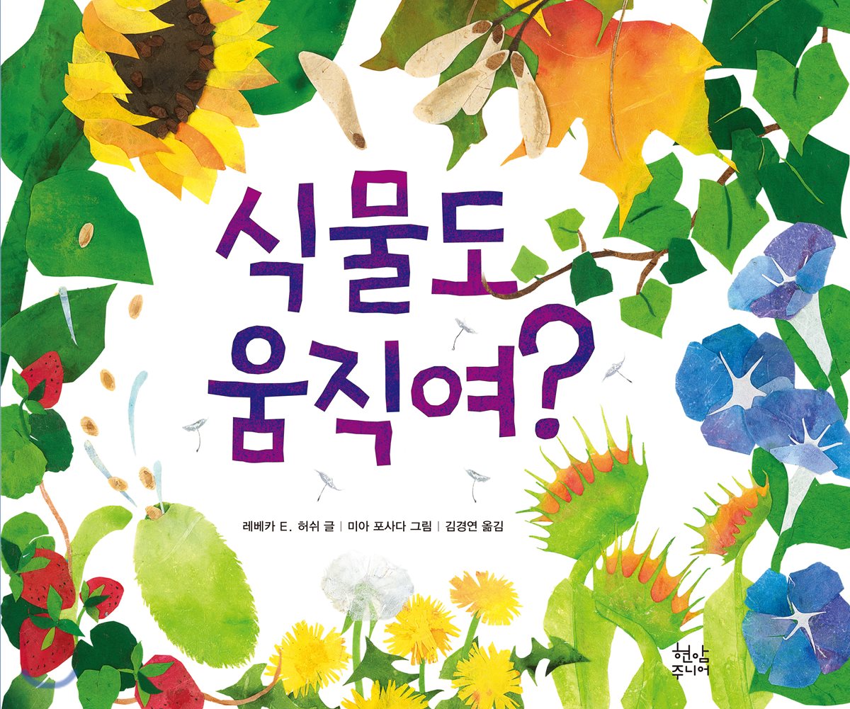 식물도 움직여? 이미지