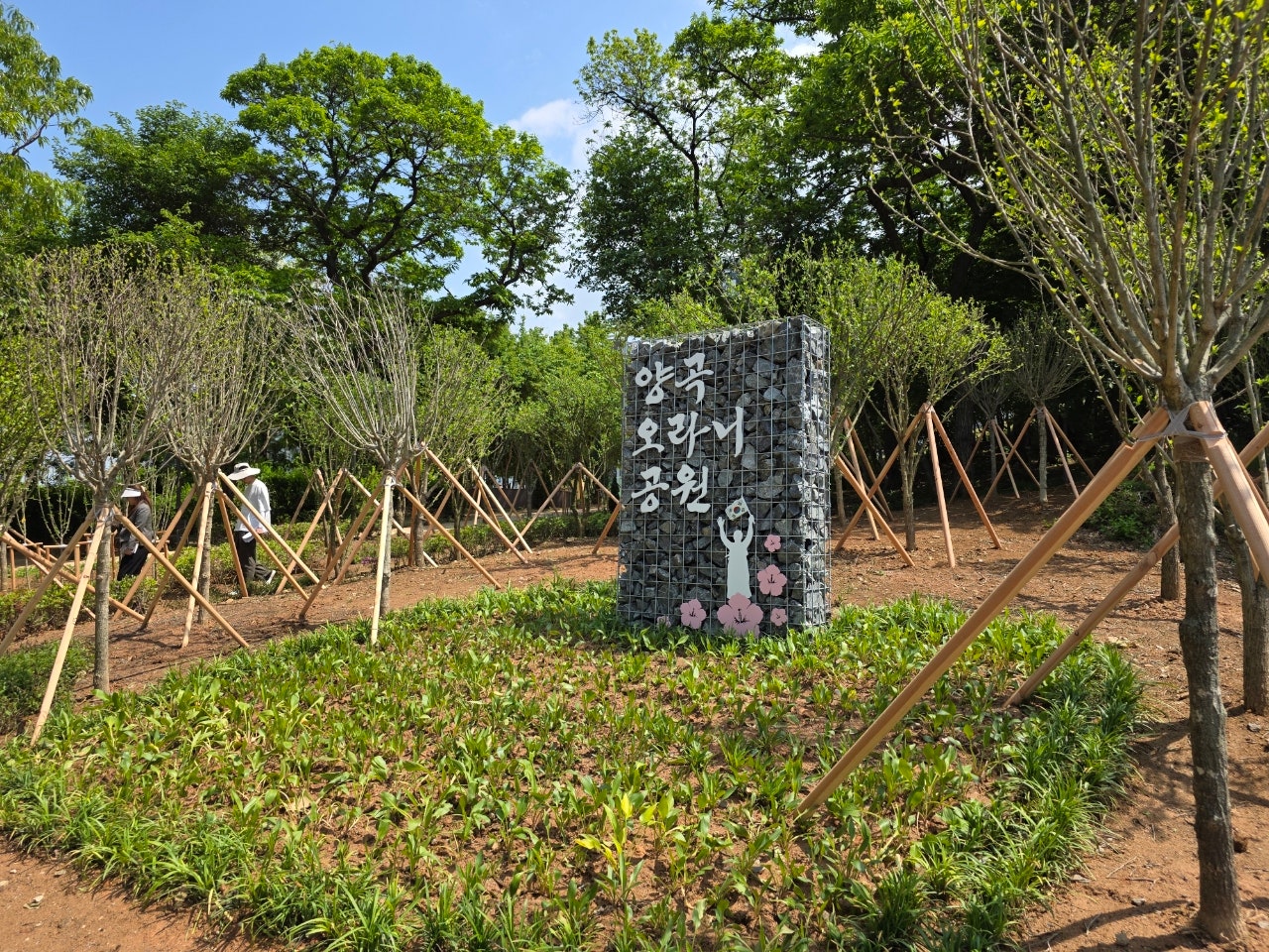 김포시, 양곡오라니공원 무궁화 동산 조성 완료 이미지
