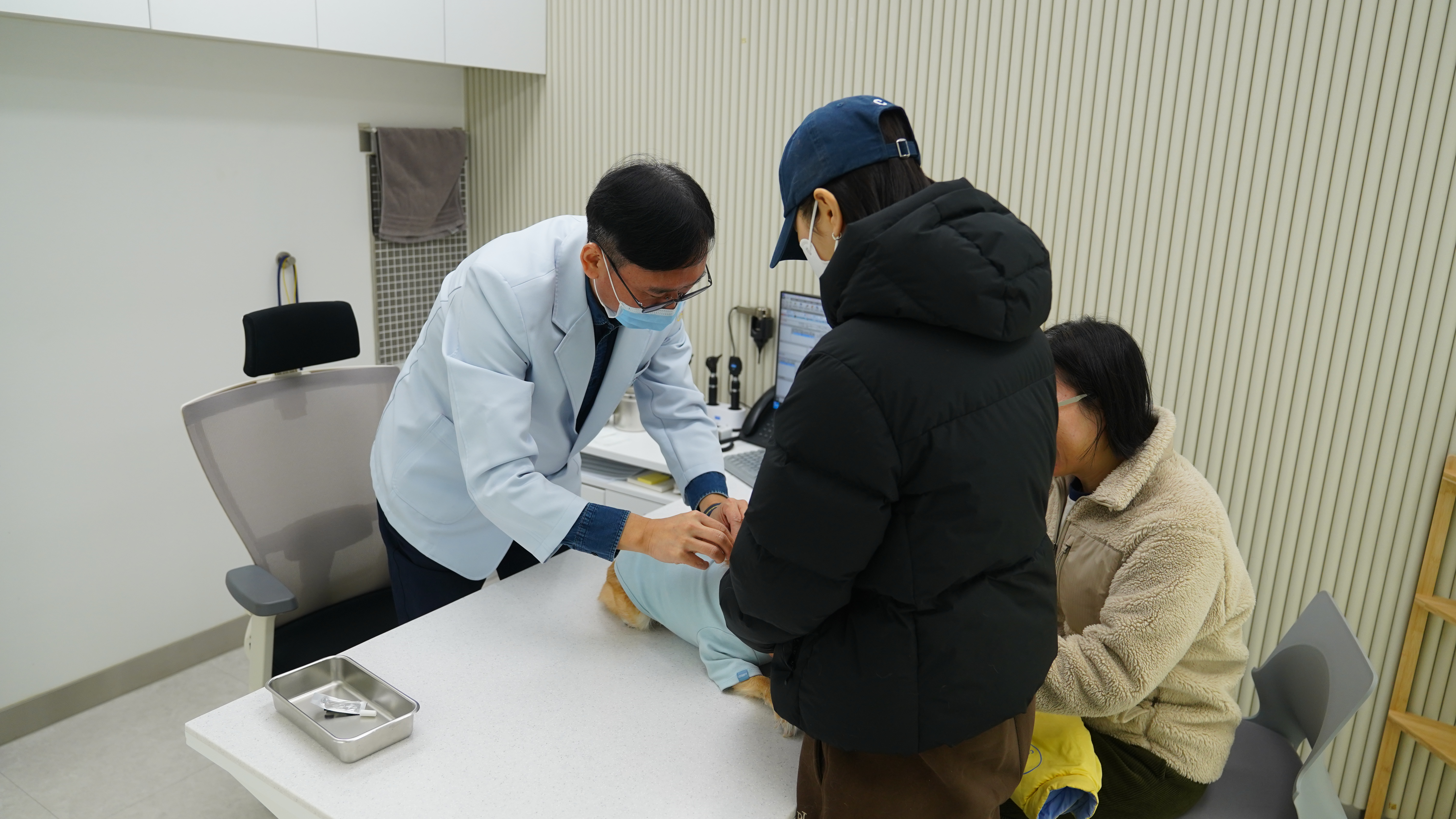 [달라진 김포, 시민 일상 속 변화④]김포시 반려동물 공공진료센터, 시민 만족도 92점 달해 이미지