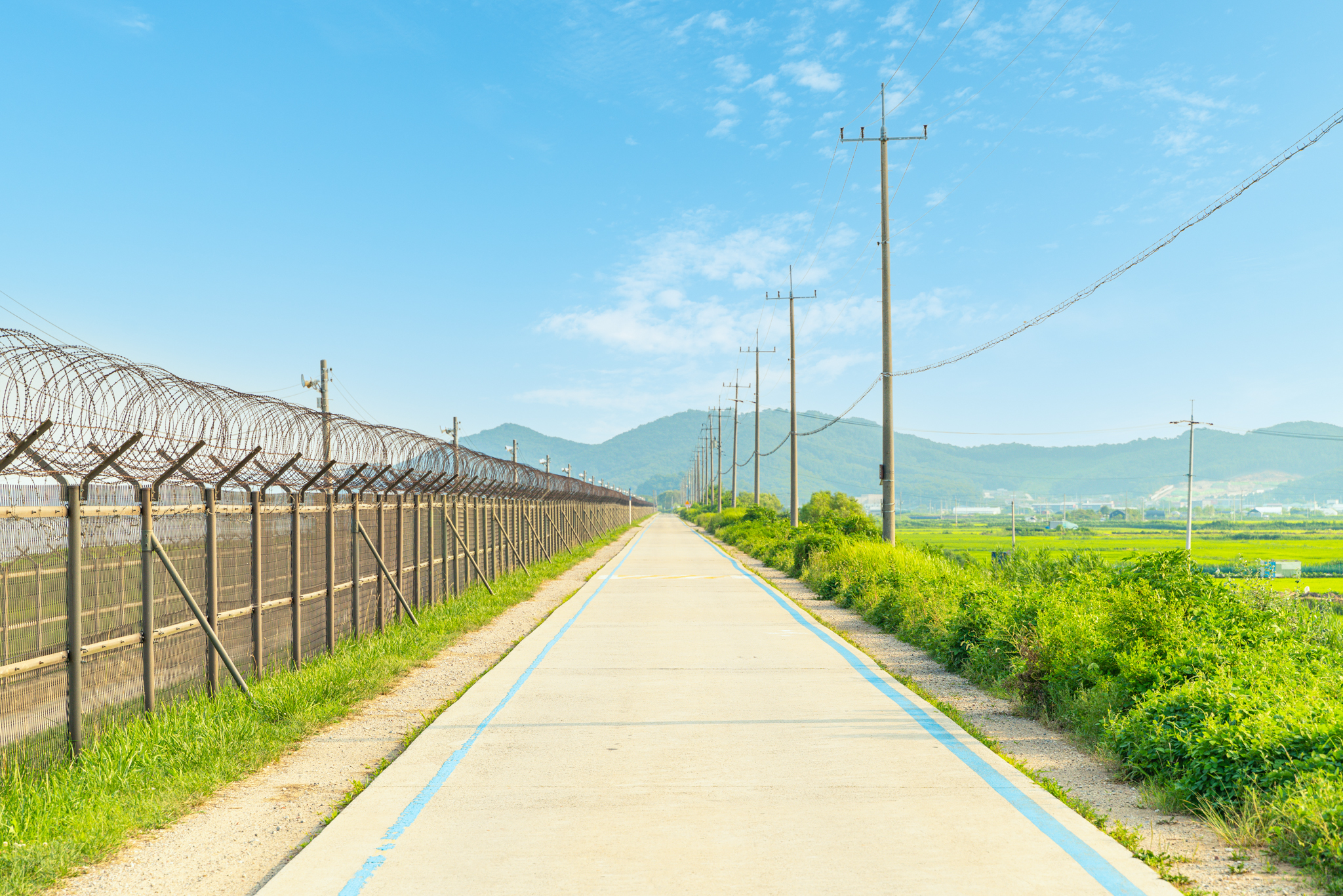 2026년 김포시 비무장지대（DMZ） 평화의 길 테마노선 투어 프로그램 개방 이미지 2