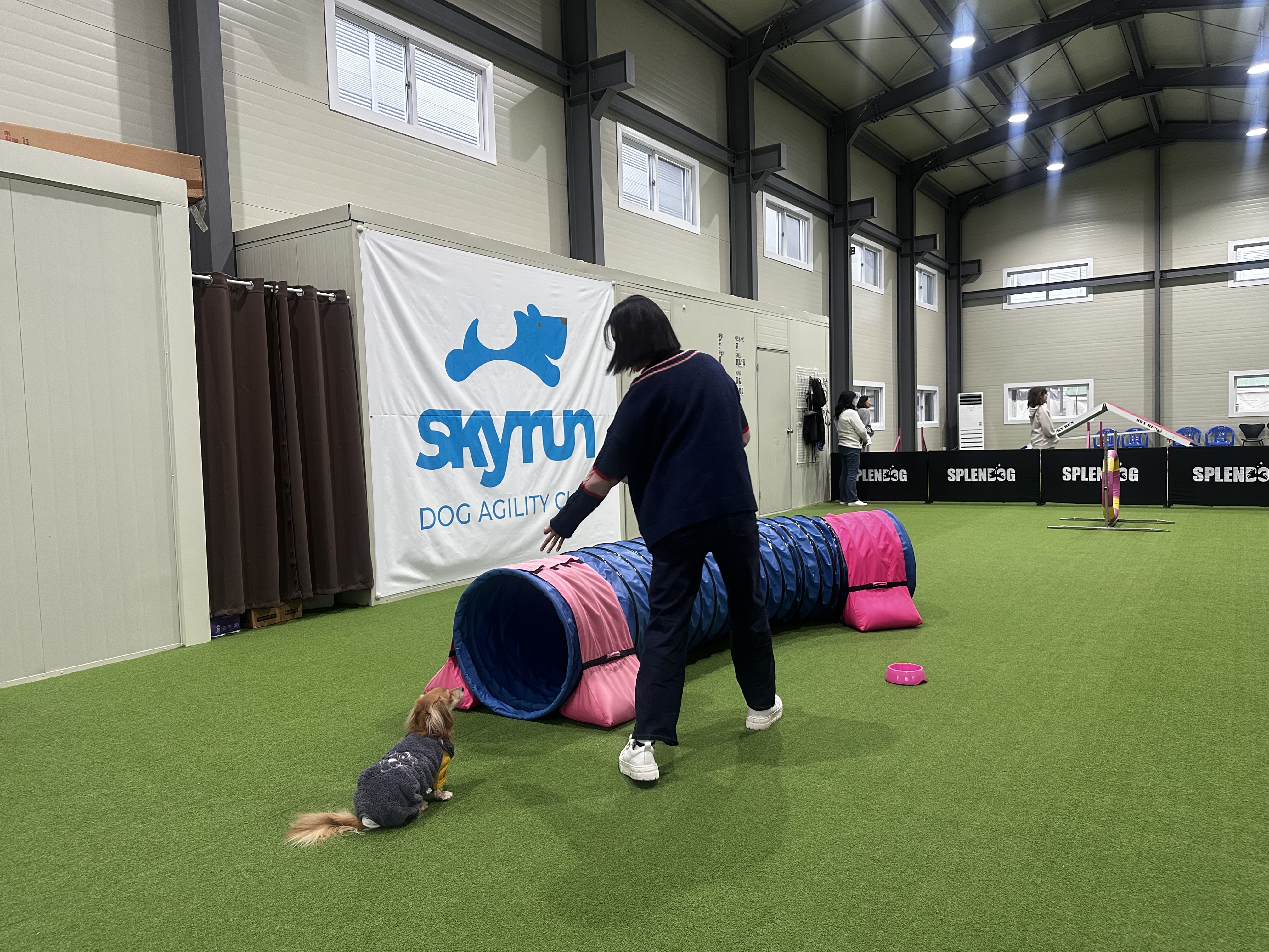 김포시, 반려견 건강 증진 프로그램 ‘댕댕 체육교실’ 성황리 종료 이미지 1