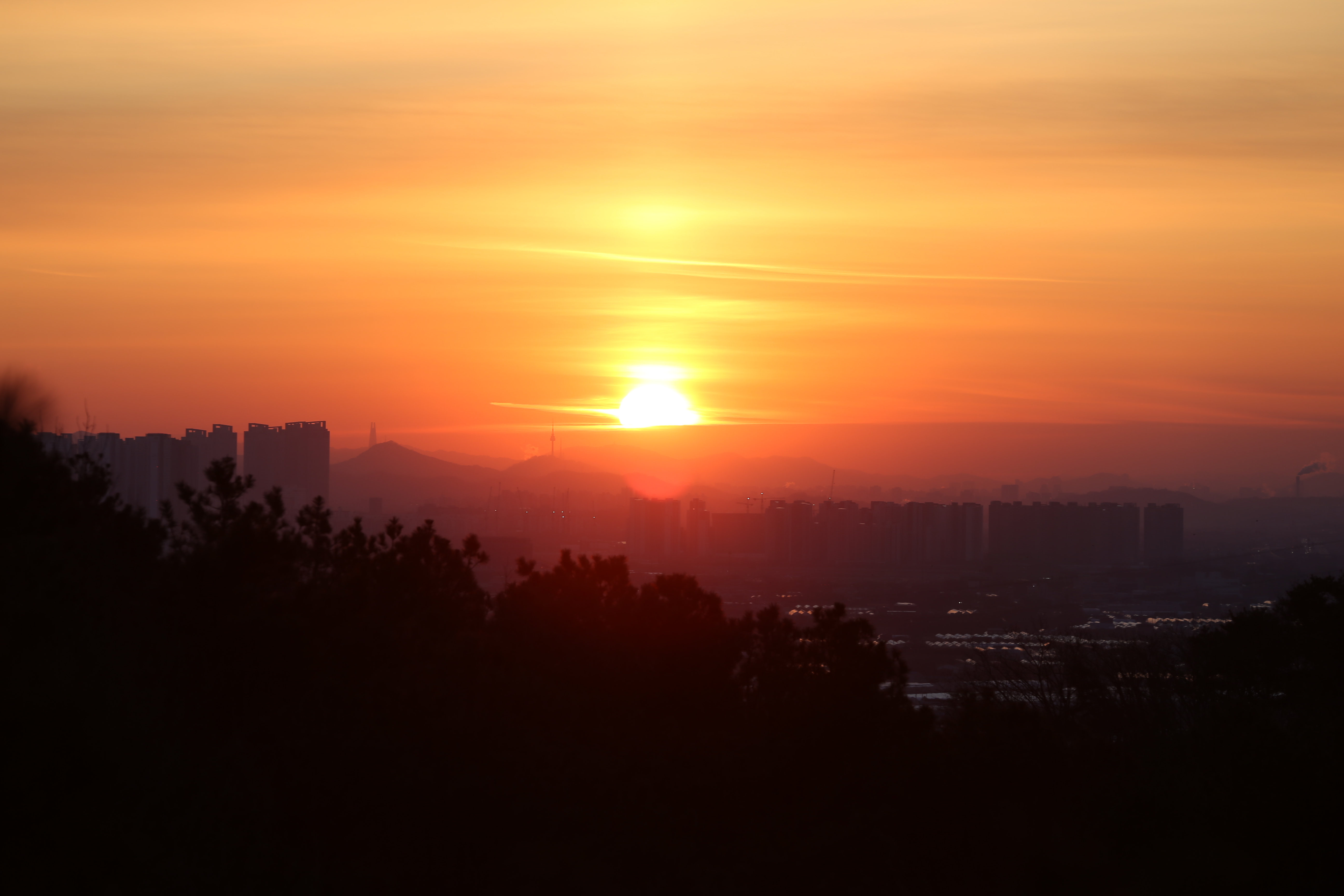 시민과 함께 맞이한 새해 첫 아침, 2026 봉성산 해맞이 행사 열려 이미지 2