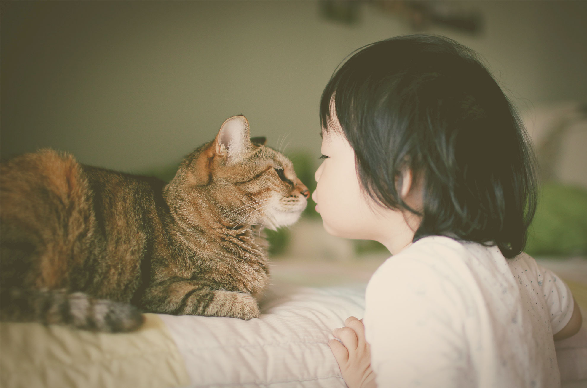 동물사랑 사진 공모전 6회 수상작 뽀뽀
