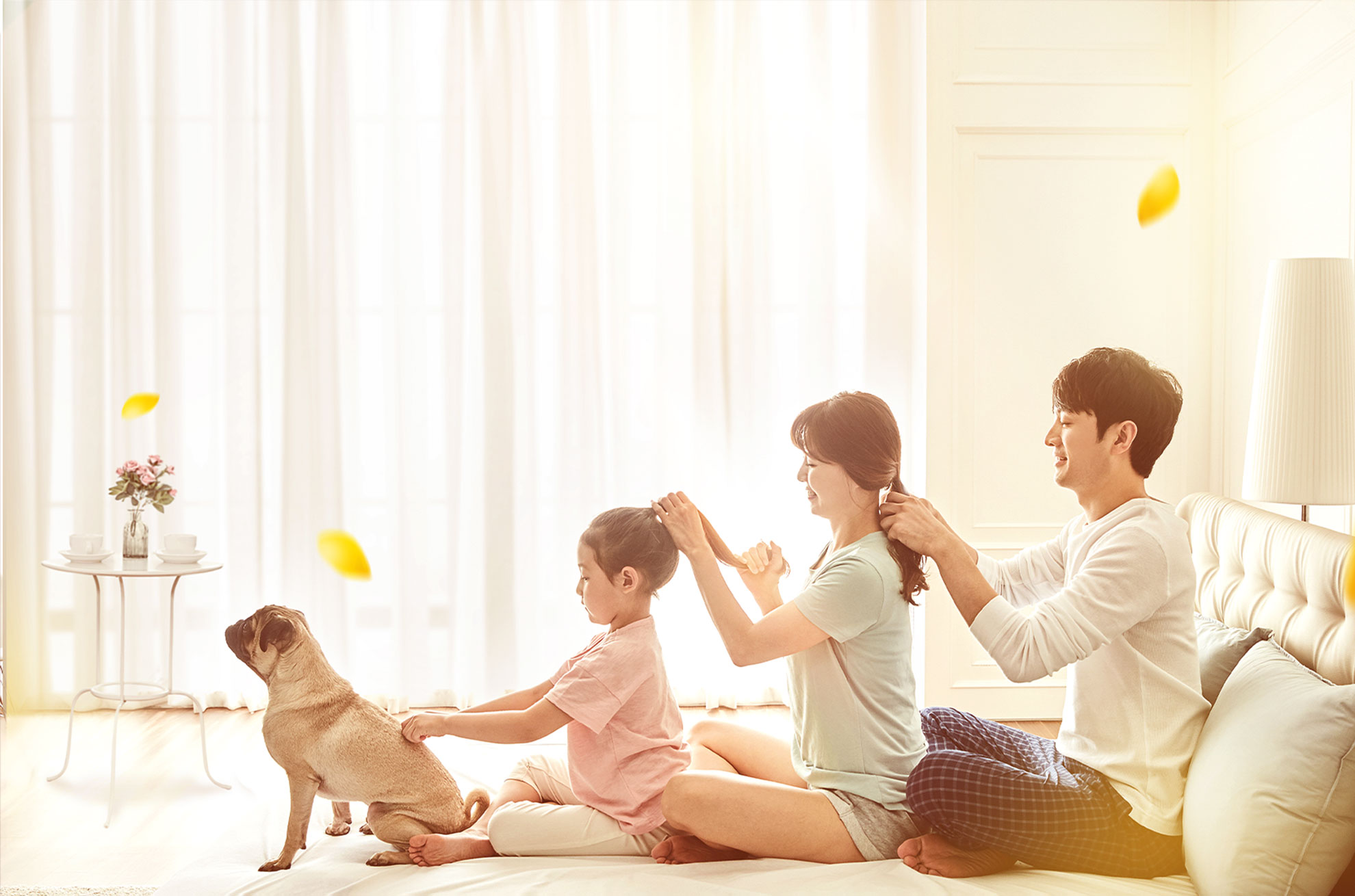 김포시 반려동물 공공진료센터