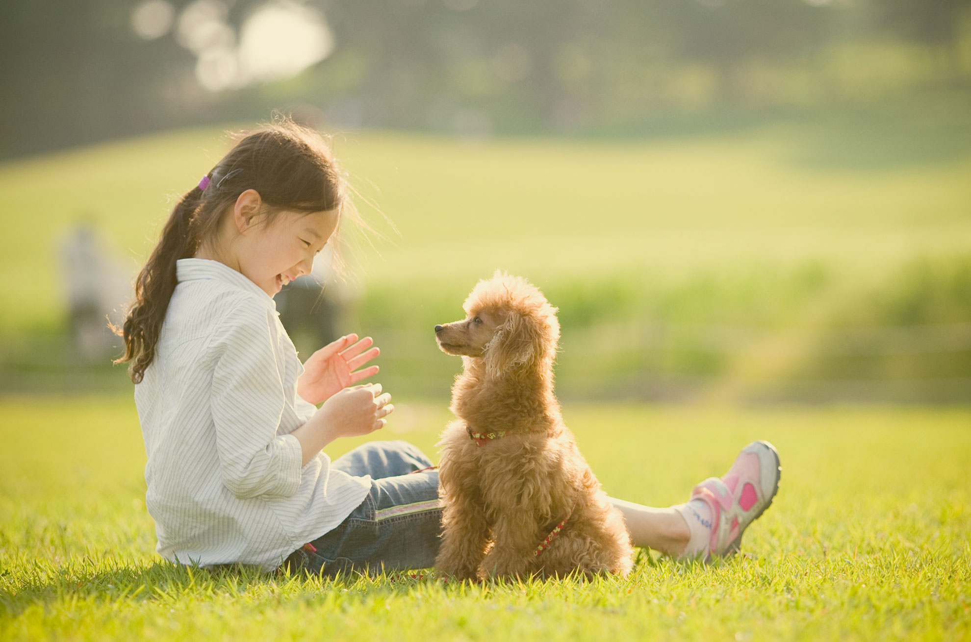 동물사랑 사진 공모전 9회 수상작 일요일 오후