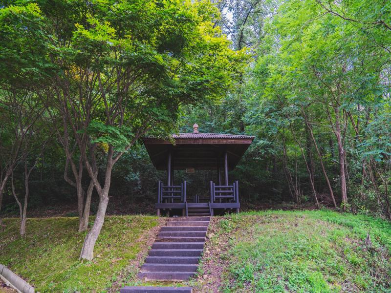 문수산산림욕장 이미지 1