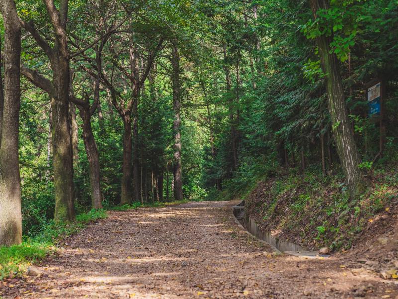 문수산산림욕장 이미지 4