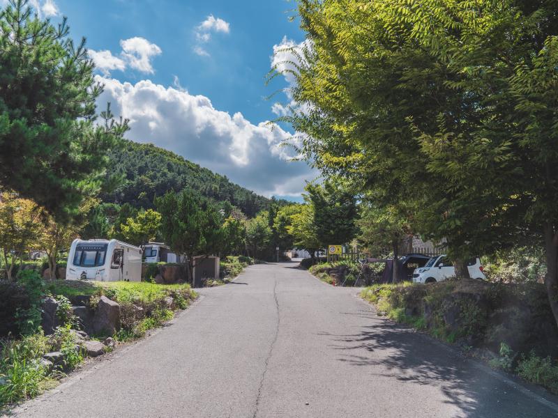 김포한강오토캠핑장 이미지 1