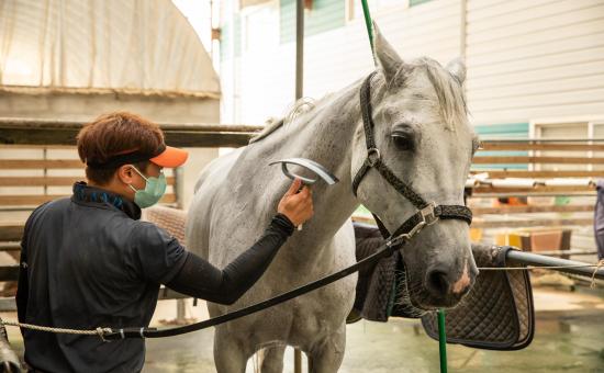 한강승마 대표 이미지