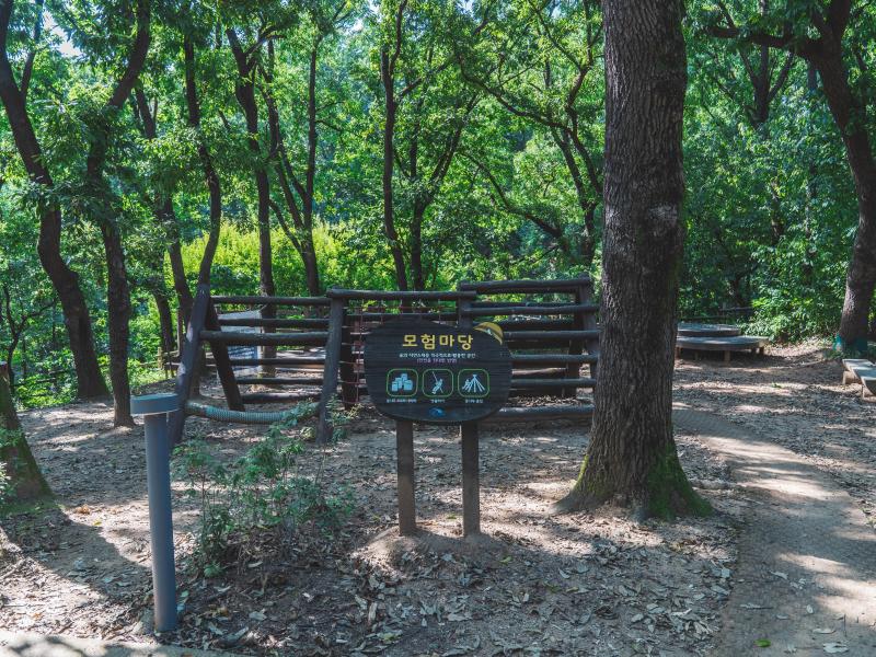 모담산유아숲체험원 이미지 2