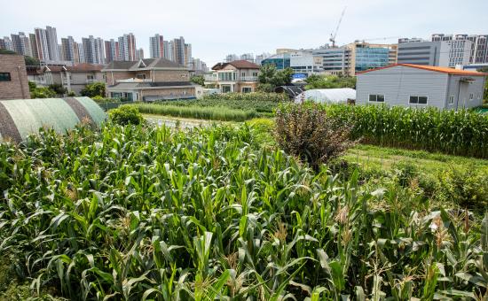 동양농원 대표 이미지