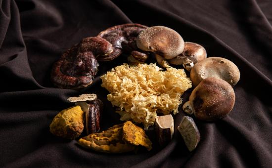 이인버섯농장 이미지 3