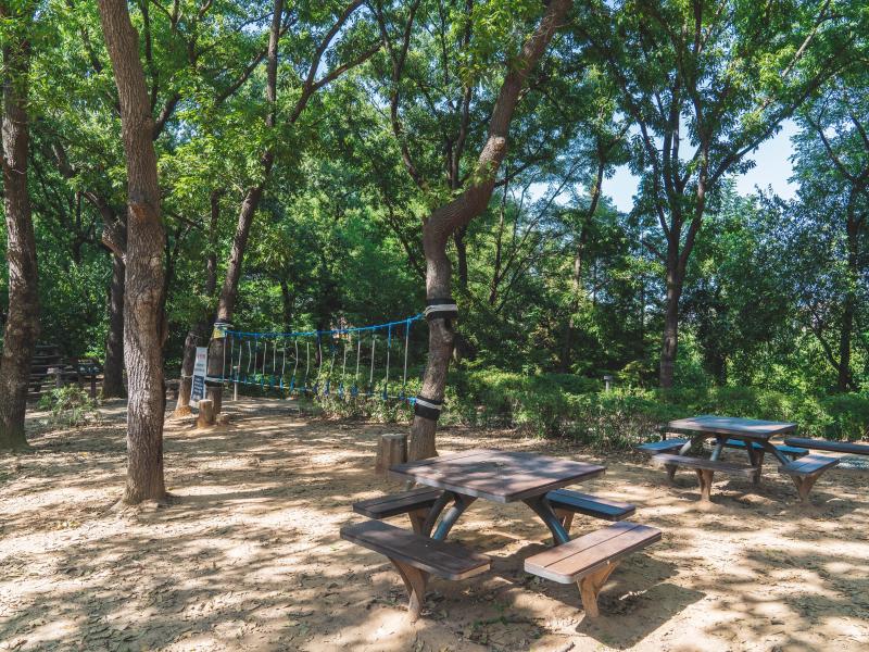 모담산유아숲체험원 이미지 3