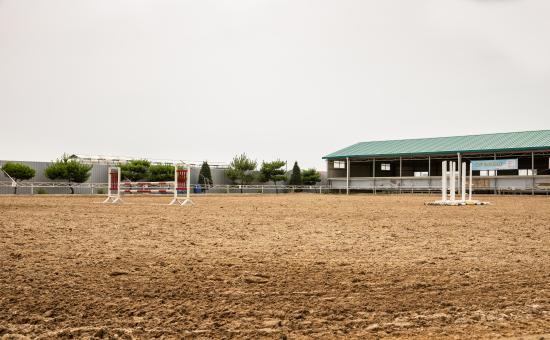 한강승마 이미지 2