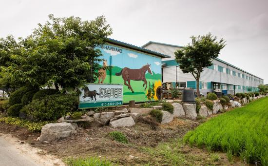 한강승마 이미지 3