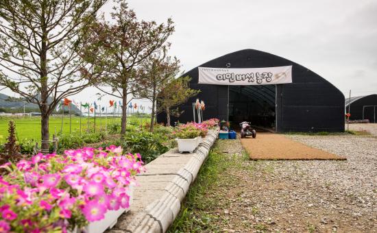 이인버섯농장 대표 이미지