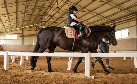 한강승마 이미지 1