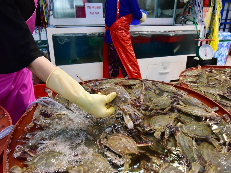 대명항 수산물직판장 이미지 3