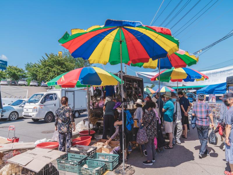 김포중앙시장 이미지 5