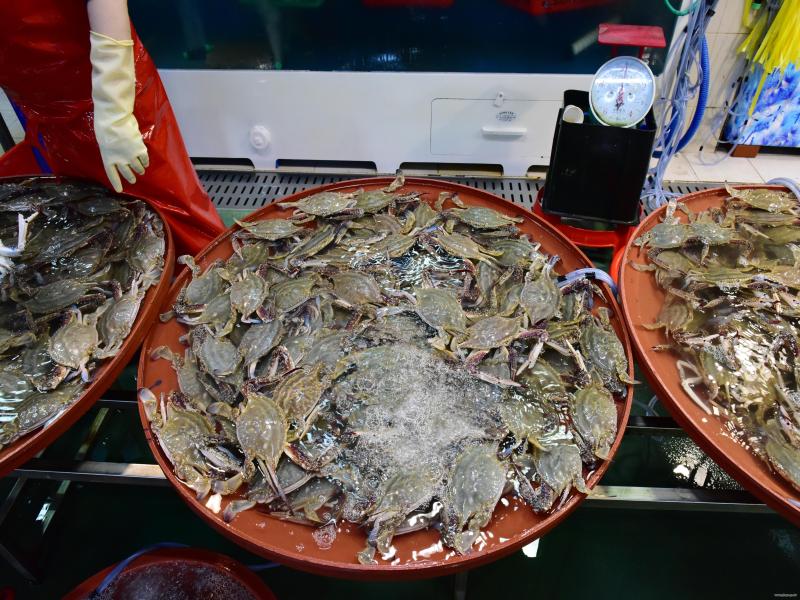 대명항 수산물직판장 이미지 2