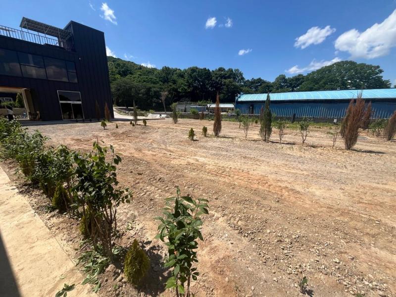 그랜드파파 대표 이미지