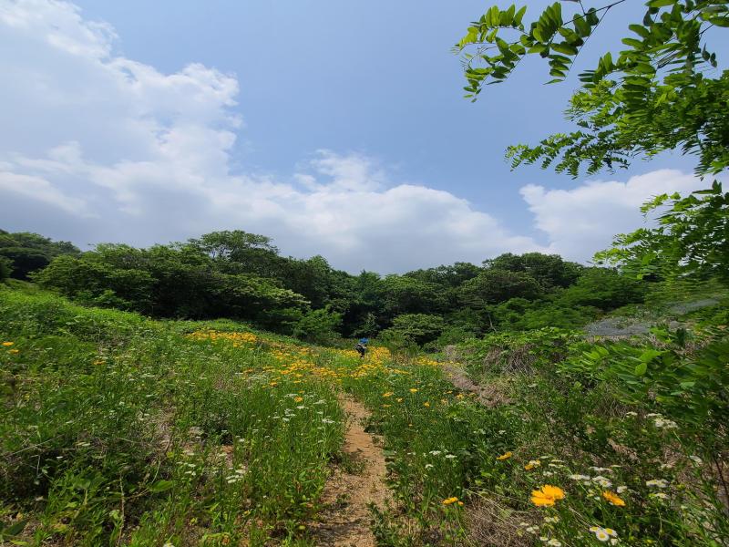 서해랑길 코스 사진