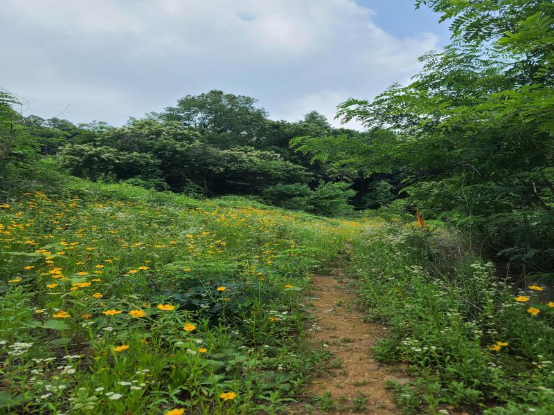 경기둘레길 60코스 사진