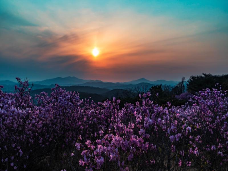 가현산 이미지 1