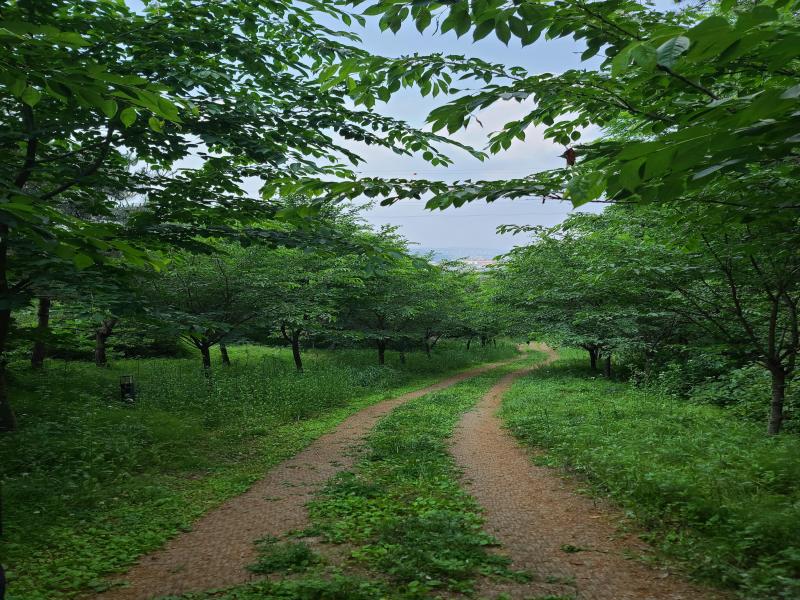 경기둘레길 60코스(함배·수안마을 버스정류장~대명항) 대표 이미지