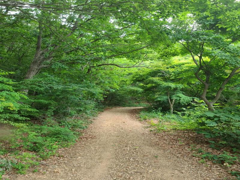 경기둘레길 59코스 사진