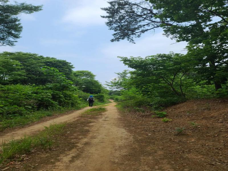 경기둘레길 59코스(김포 새솔학교~함배·수안마을 버스정류장) 대표 이미지