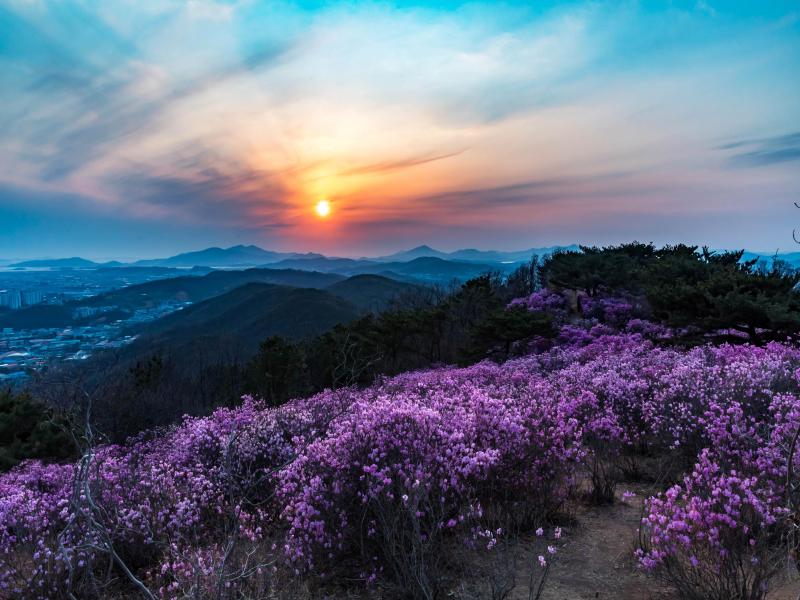 가현산 이미지 2