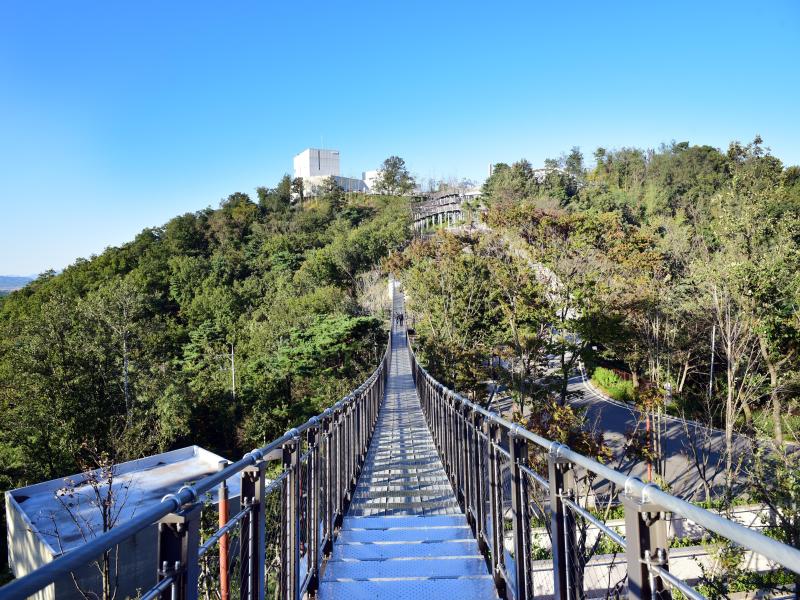 애기봉평화생태공원 이미지 1