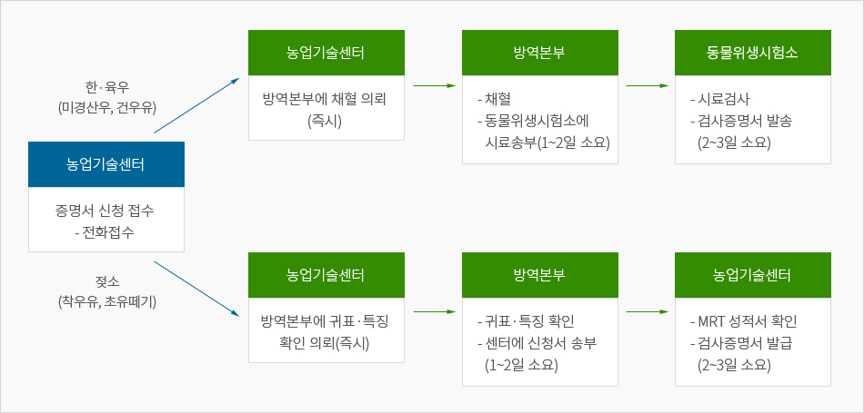 브루셀라병 증명서 발급 절차 - 자세한 내용은 아래 내용을 참조